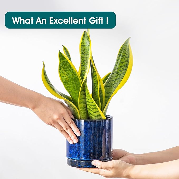 vancasso Ceramic Plant Pots, 3 Piece Planters for Indoor Plants, 4.25+5.25+6.25 Inch Flower Pots with Drainage, Plant Pots Indoor for Succulent, Pothos, Snake Plant and Money Tree, Etc (Blue)