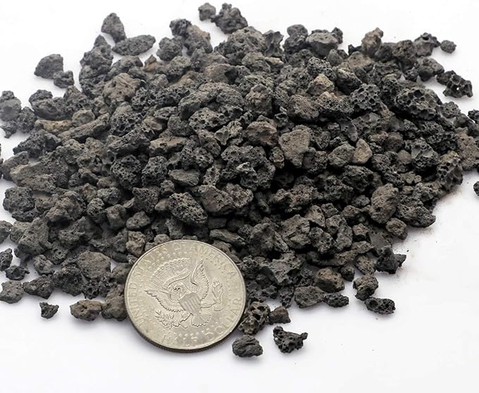 TOYPOPOR 6lb Black Lava Rock for Plants, Natural Horticultural Volcanic Grit, Cactus Succulents Bonsai Stones, Crushed Potting Gravel for Drainage Planter, Terrarium Decor, Gardening Soil Additive