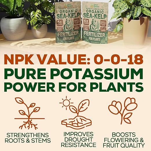 Organic Sea Kelp Fertilizer for Plants – Water-Soluble – Makes 50 Gallons – Kelp Meal Concentrate Plant Food – for Indoor Gardens, Hydroponics, Vegetables, Houseplants - Smart Grower - 2oz Bag