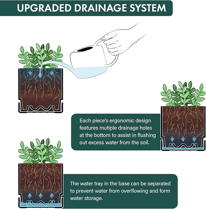Phoenix Vine 4 Inch Planter Pot with Drainage Hole & Saucer, Deep Water Catch Tray, Straight Cylindrical Round Pot for Plants, Matte Black, Pack of 6, 23-C-R-6