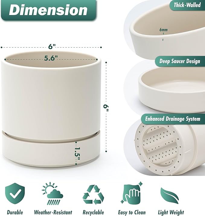 Phoenix Vine 6 Inch Planter Pot with Drainage Hole & Saucer, Deep Water Catch Tray, Straight Cylindrical Round Pot for Plants, Oatmeal, Pack of 1, 23-E-S-1