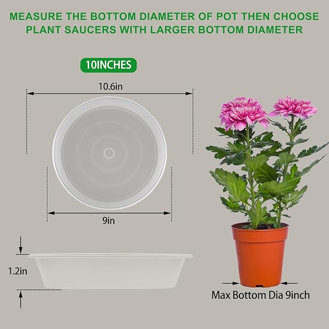 TITE Plant Saucer Heavy Large Planter Durable Thicker Plastic Plant Trays for Indoors and Outdoor,Plant Saucer Drip Trays (Transparent, 10 inch)