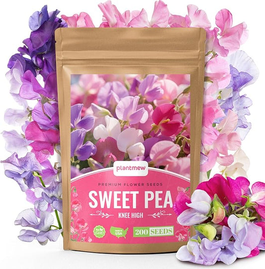 Sweet Pea Seeds 200 Seeds - Non-GMO Heirloom Organic Seeds Brightly Colored Flowering Vines for Pergolas, Flower Beds, Balconies and Patios