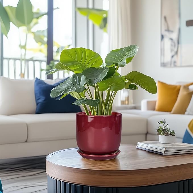 Ceramic Planter for Plants - Round Modern 7 Inch Plant Pot Indoor with Drainage Hole and Saucer, Home Patio Office Apartment Decor, Red