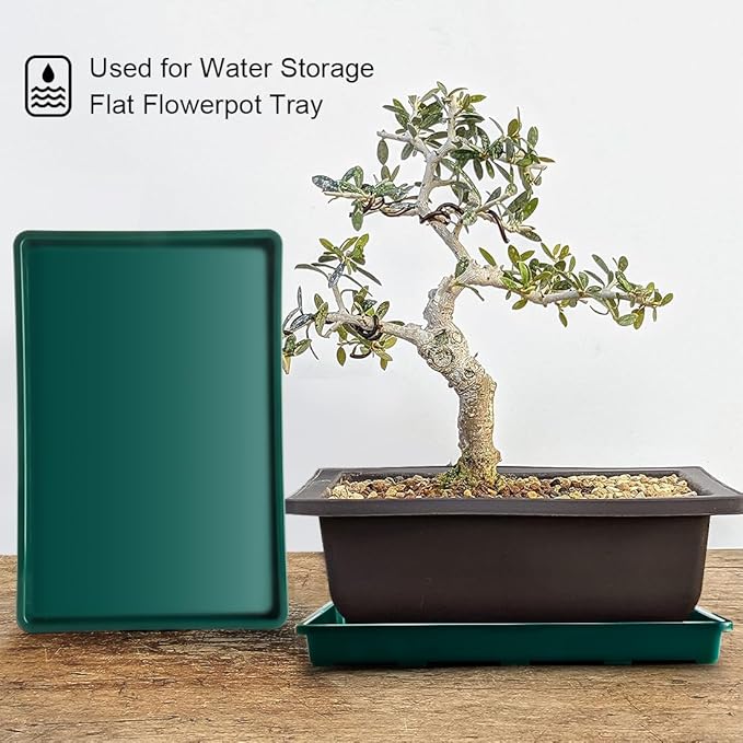 5 Pack Seed Starter Trays (17"x11"x2"), Plastic Flat Nursery Pots Trays, Durable Carrying Seedling Starter Tray, Reusable Tray for Planting and Collecting Drainage Water (Green)