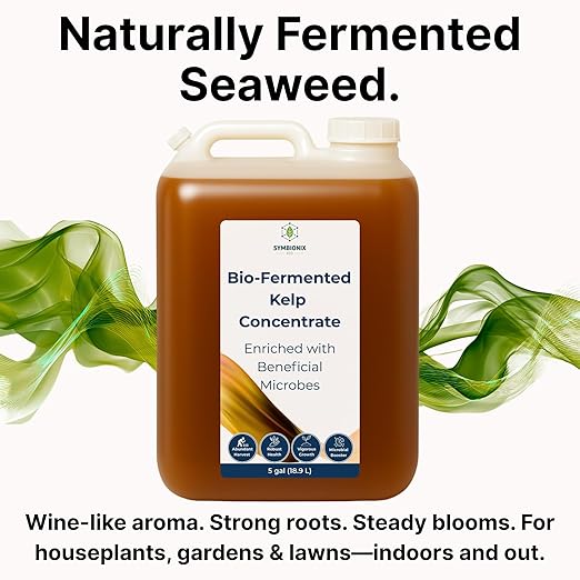 Liquid Seaweed Fertilizer for Plants with Soil Activator, Fermented Organic Liquid Kelp Fertilizer for Vegetables, Indoor and Outdoor Plants - Made in USA (5 Gallon)