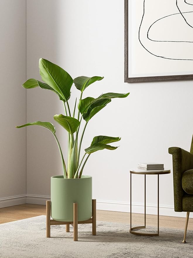 LE TAUCI Ceramic Plant Pots Indoor, 10+8+6 Inch Planters for Indoor Plants, Mid-Century Modern Pots with Drainage Hole and Plug, Cylinder Round Planters, Set of 3, Sage Green