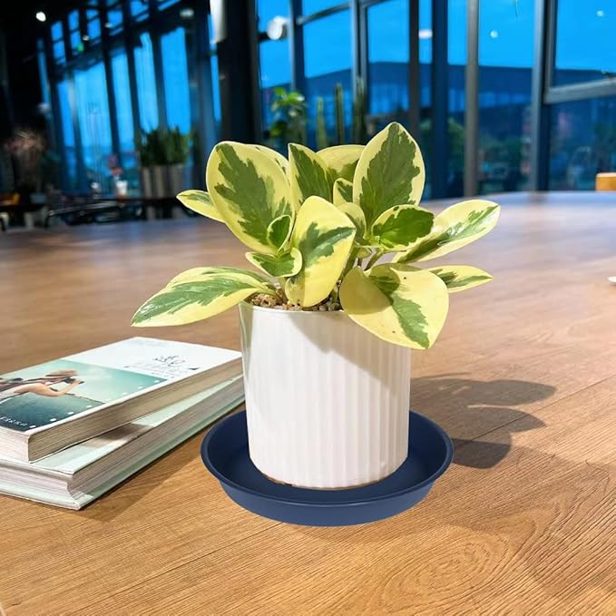 6 Pack Plant Saucer Drainage Tray, Plastic Plant Water Tray, 6 inch Flower Saucers for Indoors, Plant Dishes for Pots Base (6 inch, Blue)