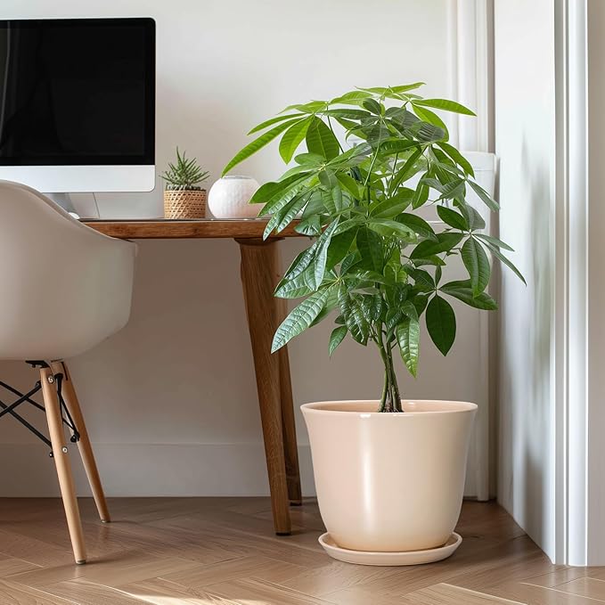 Ceramic Plant Pots - 12 Inch Plant Pot with Drainage Hole and Tray, Large Round Flower Pot for Indoor Outdoor, Modern Planter, Decorative Planters, Home Garden Decor, Beige