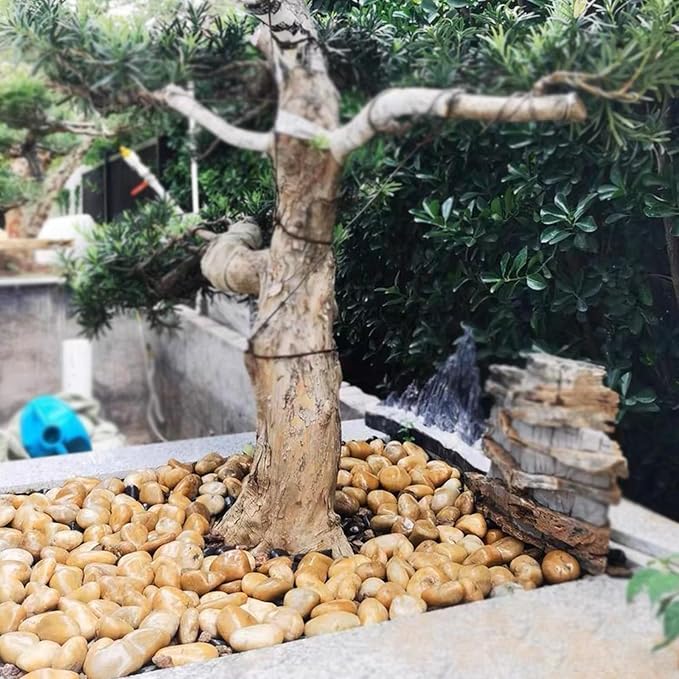 20 lbs Yellow River Rocks for Landscaping, 1-2 Inch Polished Pebbles for Indoor Plants, Decorative Rocks Stones for Plants, Vases, Aquariums, Fountains, Pathways, Backyard and Garden