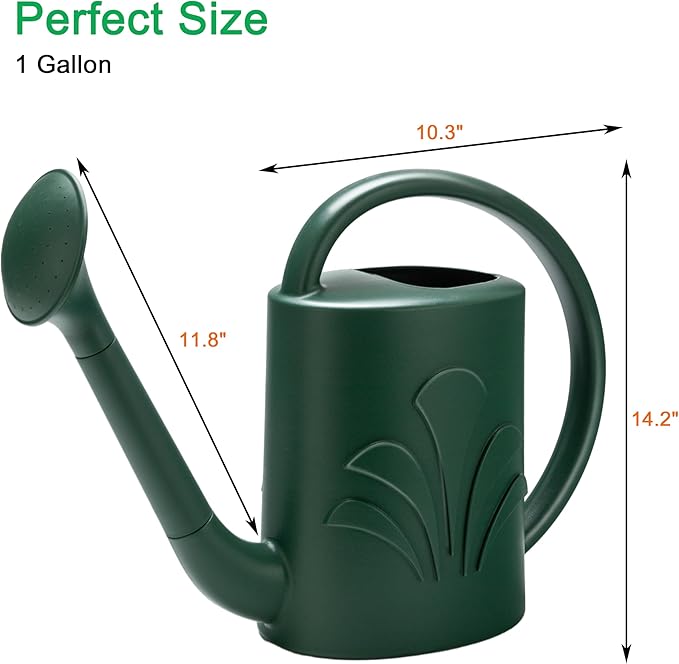 1 Gallon Watering Can Outdoor, Watering Can for Indoor & Outdoor Plants, Flower with Detachable Sprinkler Head