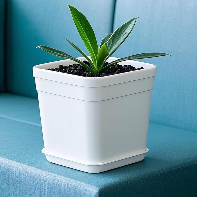 JOIKIT 15 PCS 10 x 10 Inch Square Plant Saucer, Plastic Plant Saucer Drip Tray, Square Flower Pot Tray for Indoors and Outdoor Plant Pots, 1.38 Inch Deep, White