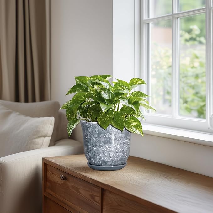 Ceramic Planter - 6 Inch Plant Pot for Indoor Outdoor, Small Plant Pots with Drainage Hole and Saucer, Modern Round Planter, Succulent Orchid Pot, Home Room Decor, Birthday Gifts, Grey