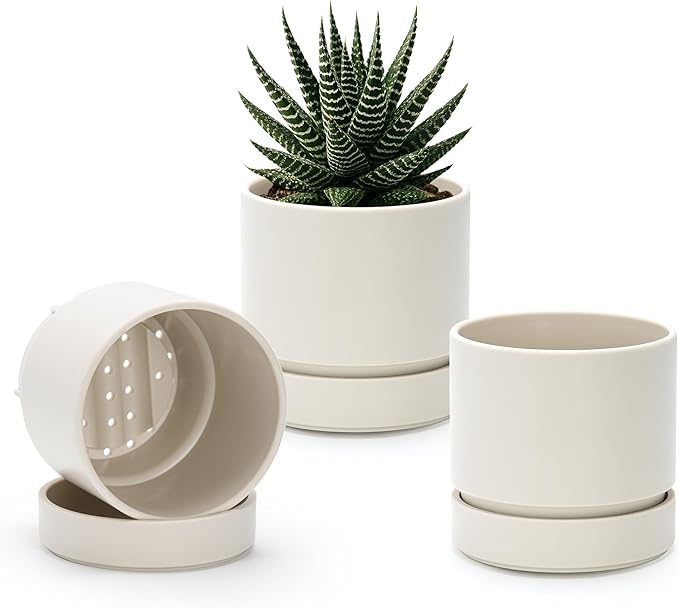 Phoenix Vine 4 Inch Planter Pot with Drainage Hole & Saucer, Deep Water Catch Tray, Straight Cylindrical Round Pot for Plants, Oatmeal, Pack of 3, 23-E-R-3
