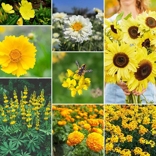 Eden Brothers Ole Yeller Wildflower Mixed Seeds for Planting, 5 lb, 2,400,000+ Seeds with African Marigold, Sunflower | Attracts Pollinators, Plant in Spring or Fall, Zones 3, 4, 5, 6, 7, 8, 9, 10