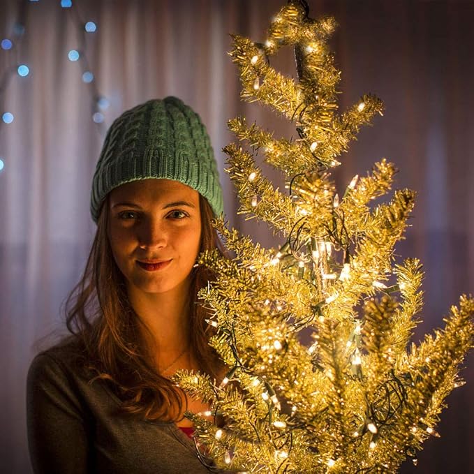 Christmas Lights 33ft 100 LED Battery String Lights with Timer Memory Function USB or Battery Powered Waterproof String Lights for Indoor Outdoor Decoration (Warm White)