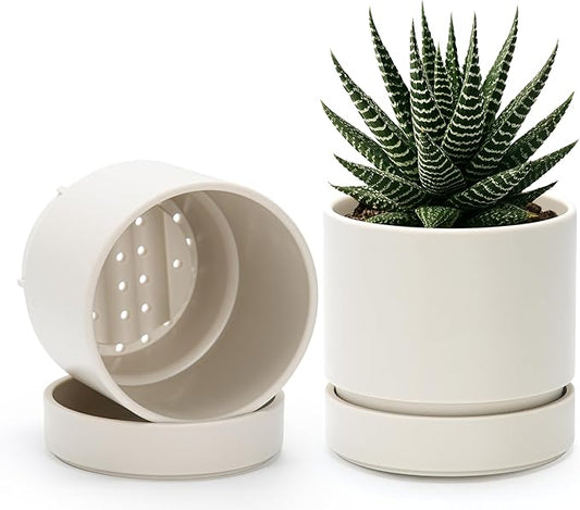 Phoenix Vine 4 Inch Planter Pot with Drainage Hole & Saucer, Deep Water Catch Tray, Straight Cylindrical Round Pot for Plants, Oatmeal, Pack of 2, 23-E-R-2