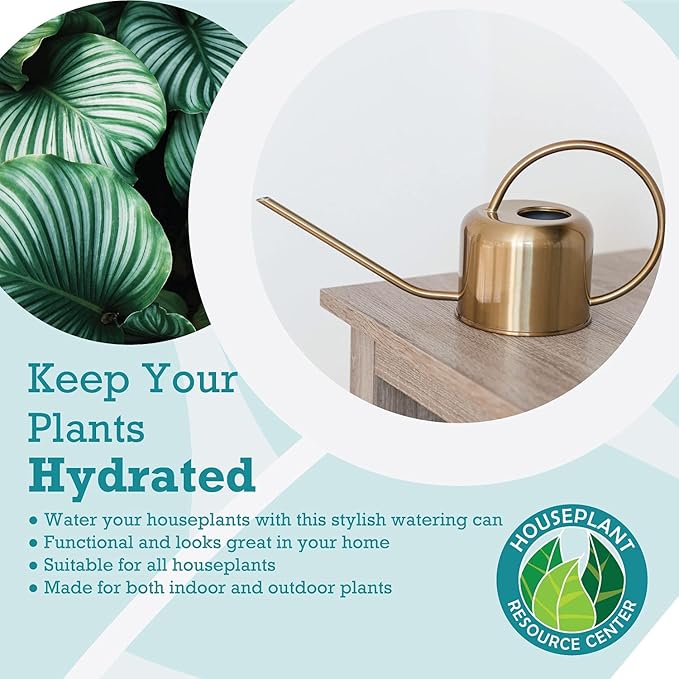 Stainless Steel Watering Can for Houseplants by Houseplant Resource Center | 1L Capacity for Indoor/Outdoor Plants in Brushed Gold