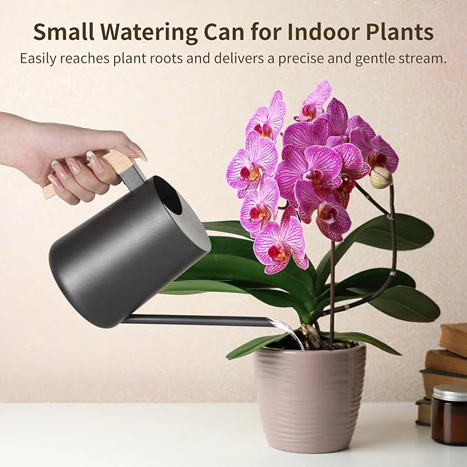 Homaisson 35 oz Metal Small Indoor Watering Can with Long Spout & Real Wood Handle for House Plants, Rust-Resistant Watering Pot for Indoor and Outdoor, Ideal for Houseplants, Modern Minimalist Design