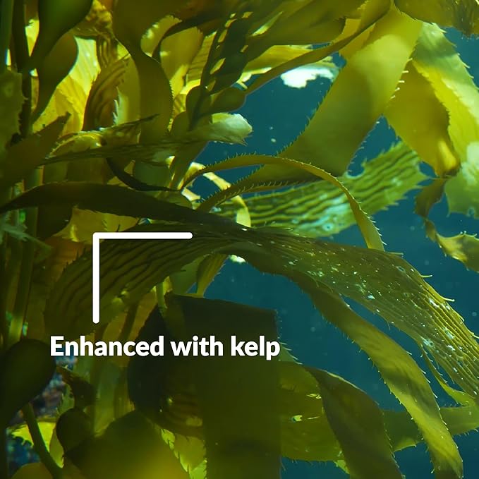 SUPERthrive The Original Vitamin Solution - Liquid Concentrate, May Add to Any Fertilizing Program, 4 fl. oz.