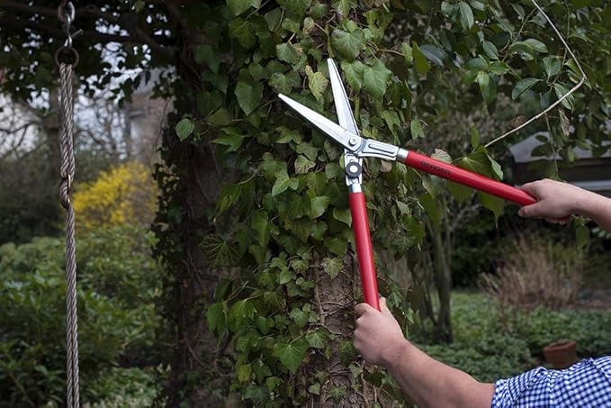 BERGER Professional Lightweight Topiary Hedge Shear, 6.3" Chromium-Plated Blades, Sap Groove to Prevent Sticking, Shock-Absorbing Buffer, Beech Wood Handles, 2520