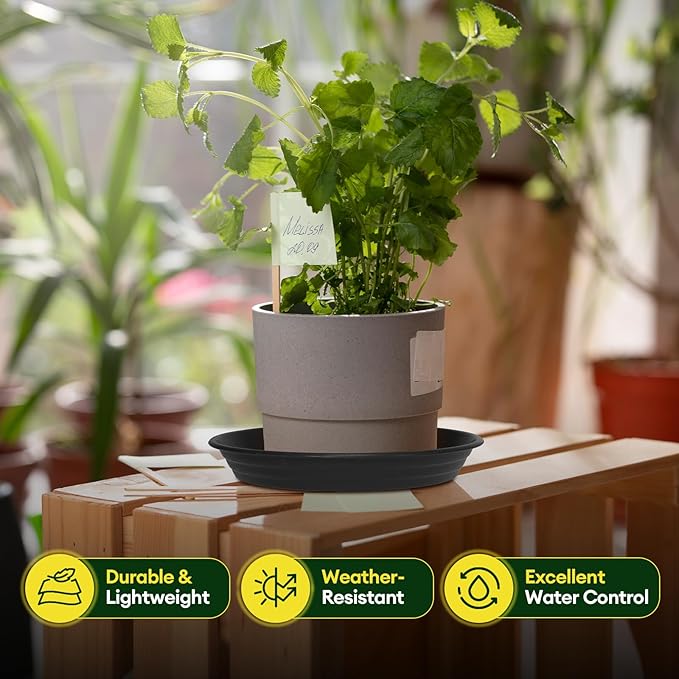 6 Pack Plant Saucer, 8 10 12 inch Plant Saucers for Indoor, Heavy Duty Plastic Plant Trays for pots, Grow Bags, Bird Baths, Flower Drip Trays for Indoor and Outdoor Uses (10", Black)