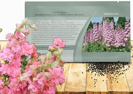 Outsidepride Delphinium Rose Larkspur Seeds for Planting Outdoors - 2000 Pcs Annual, Self-Seeding, Heat & Drought Tolerant Wildflower Seeds, Colorful Blooms for Flower Arrangement & Pollinator Garden
