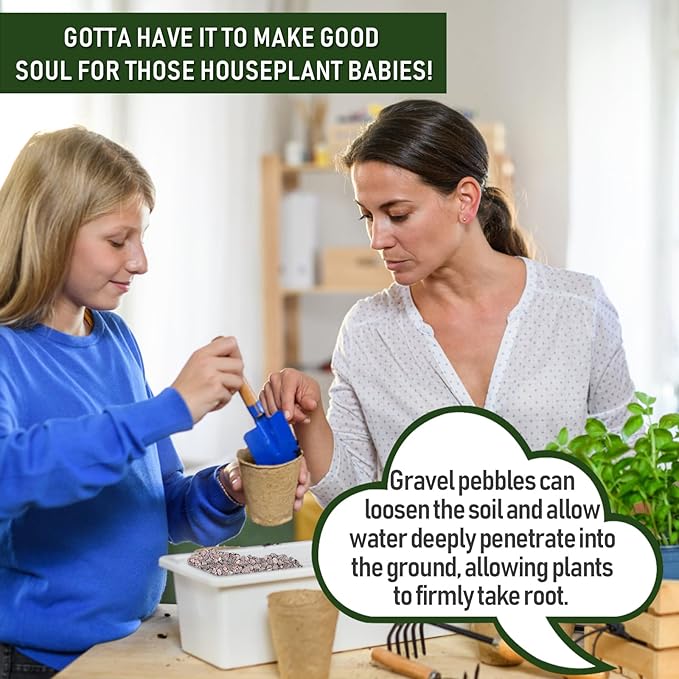 2 LBS Red Pea Gravel, Natural Succulent and Cactus Gravel Pebbles, Pebbles for Indoor Plants, Natural Gardens Mulching, for Houseplants, for Aquarium Gravel, to Maintain Soil Aeration(4-6mm)