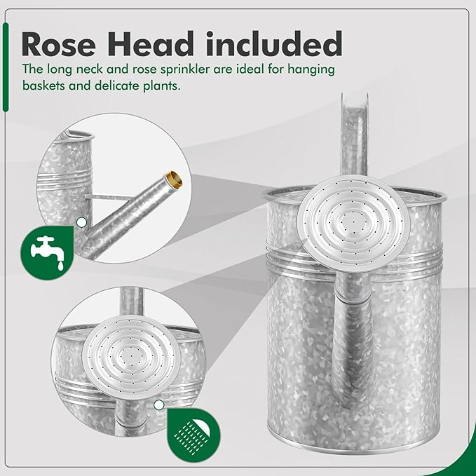 Galvanized Iron Watering Can for Indoor Plants, Oval Watering Cans for House Plant Garden Flower, Long Spout Water Can for Outdoor Watering Plants 9.46L 2.5 Gallon