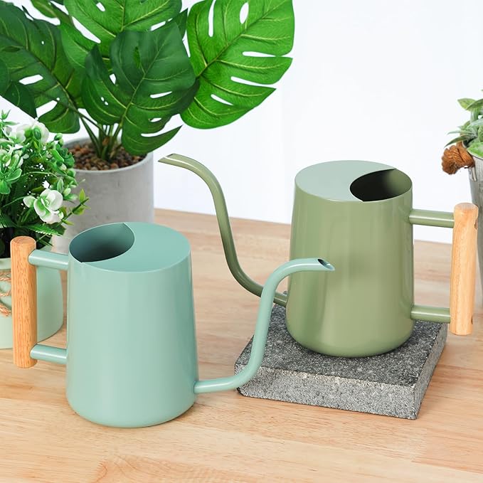 CEWOR Sage Green 35 Oz Metal Watering Can with Long Spout for Indoor & Outdoor Plants
