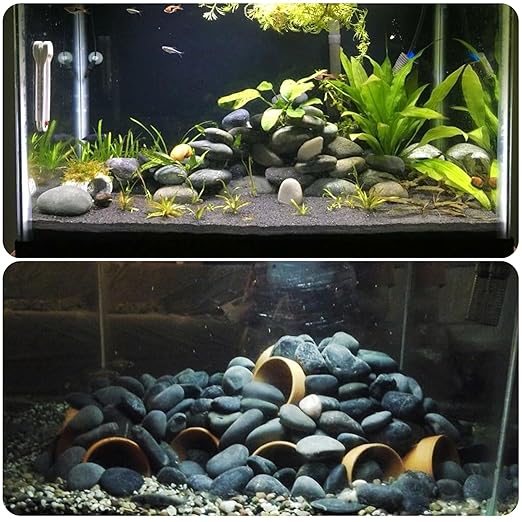 2-3 Inch Black Pebbles for Plants, 5 lbs River Rocks Decorative Black Stones, Ideal for Fish Tank, Vases, Crafting, Home Decor and Garden Landscaping Rocks