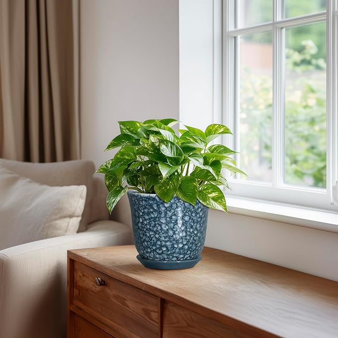 Ceramic Pots for Plants - 5.6 Inch Plant Pot for Indoor Outdoor, Round Succulent Orchid Pot with Drainage Hole and Saucer, Modern Small Flower Pot, Room Home Decor, Plant Lover Gifts, Blue