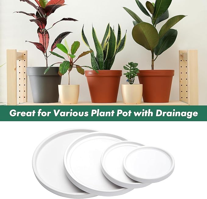D'vine Dev Modern Round 10.4 Inch Ceramic Plant Pot Saucer, Planter Pot Drainage Tray for Indoor Plants, Matte White, 97-T-A-5