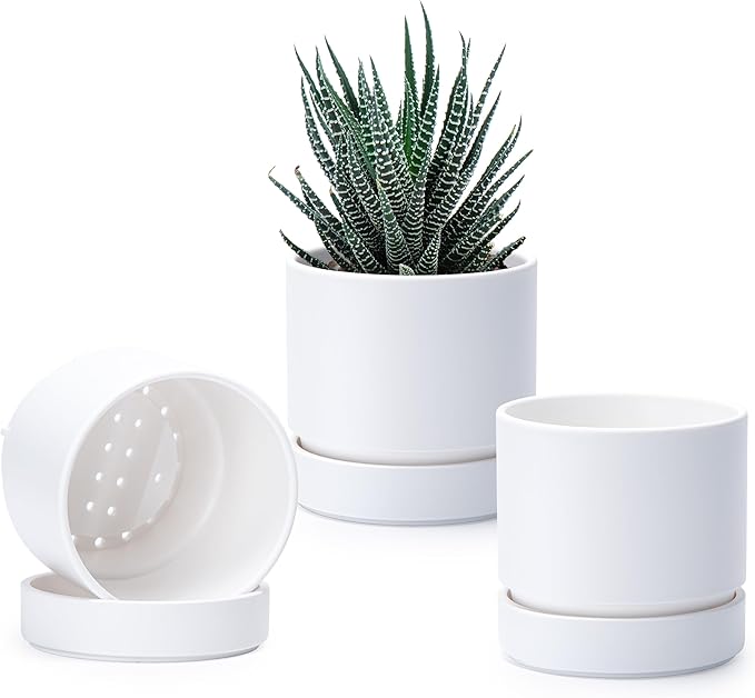 Phoenix Vine 4 Inch Planter Pot with Drainage Hole & Saucer, Deep Water Catch Tray, Straight Cylindrical Round Pot for Plants, Matte White, Pack of 3, 23-B-R-3