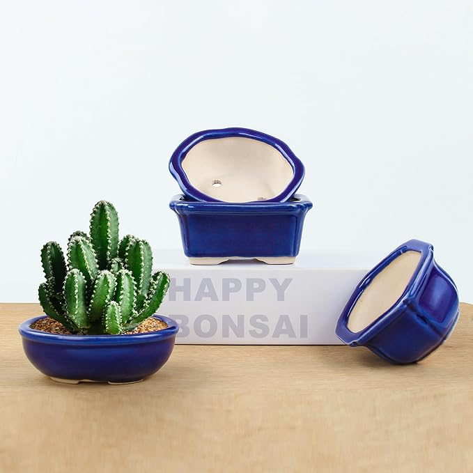 Bonsai Planter Succulent Mini Glazed Pots Value Set of 4, with 4 Soft Mesh Drainage Screens