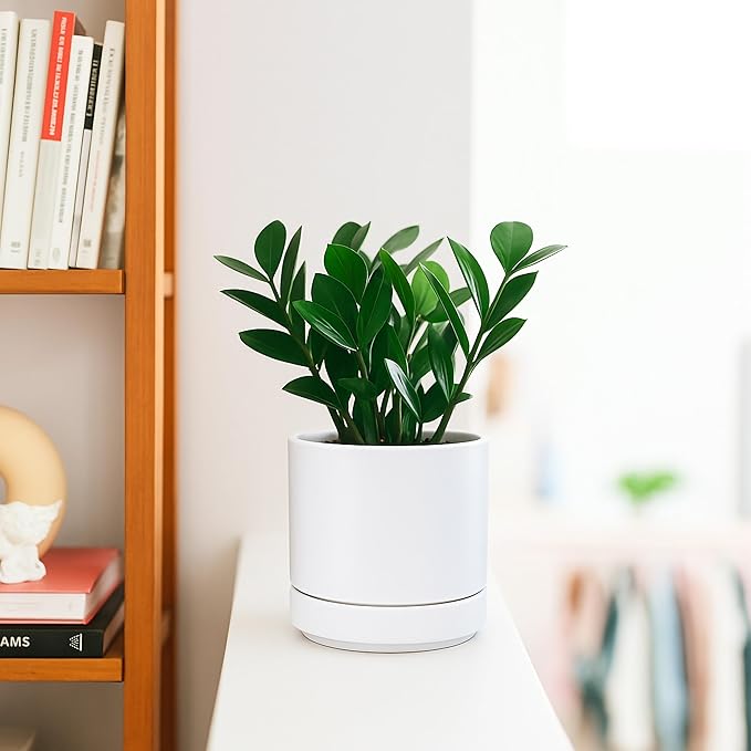 D'vine Dev 3 Inch & 4 Inch & 6 Inch, Set of 3 Round Ceramic Planter Pot with Drainage Hole and Saucer, White, 94-T-S-1