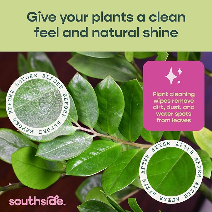 Plant Cleaning Wipes by Southside Plants - Gentle, Plant-Based Wipes for Shiny Leaves and Better Photosynthesis - Unscented, Extra Thick Waffle Weave Leaf Wipe for Indoor & Outdoor Plants - 80 Ct