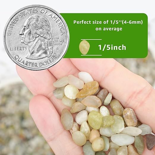 5 LBS Decorative Jade Stones – Ideal for Succulent Cactus Plants, Vase Fillers, Fish Tanks, and Landscaping Projects. 1/5 Inch Stones Promote Healthy Plant Growth (Jade, 5 Pounds)