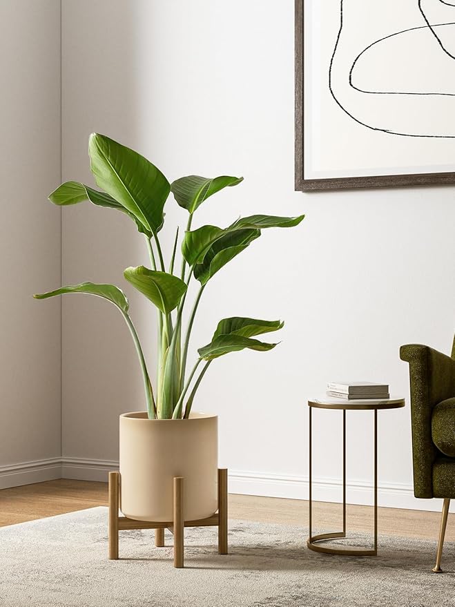 LE TAUCI Ceramic Plant Pots Indoor, 10+8+6 Inch Planters for Indoor Plants, Mid-Century Modern Flower Pots with Drainage Hole and Plug, Cylinder Round Planters, Set of 3, Cloud Cream