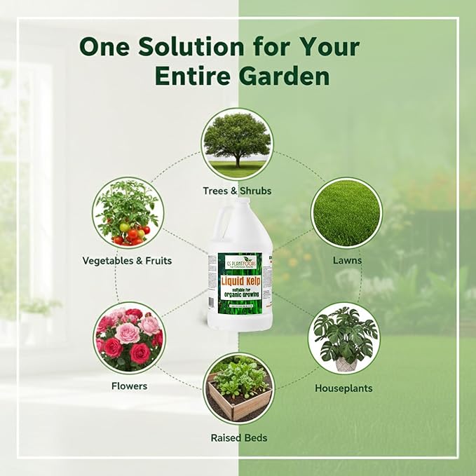 GS Plant Foods Liquid Kelp Fertilizer – Suitable for Organic Growing, OMRI Listed Seaweed Concentrate for Lawns, Gardens & Soil - 1 Gallon (Makes Up To 800+ Gallons)