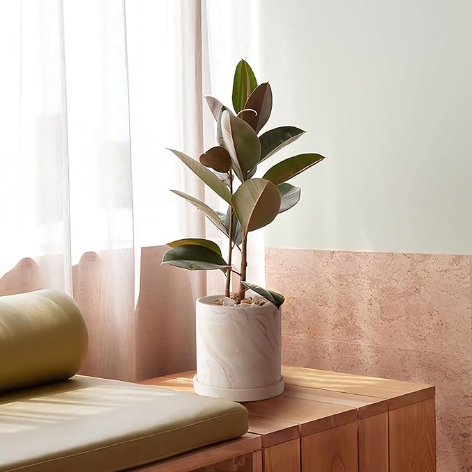 5 inch Plant Pot - Terra Cotta Flower Planters Indoor - Modern Succulents Containers with Drain Hole & Saucer, Decorate Home, Office & Outdoor (Pink)