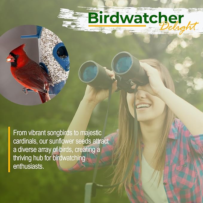 Old Potters Wildlife Safflower Seed for Wildlife Bird Feeding, Non-GMO and USA Small Farm Grown, 6 lbs