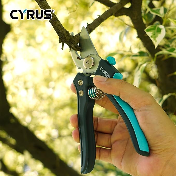 CYRUS Pruning Shears, 7" Pruning Shears with Bypass Blade for Cutting Branches and Twigs up to 24mm in Diameter, Tool for Pruning Garden Branches and Potted Plants (00288)