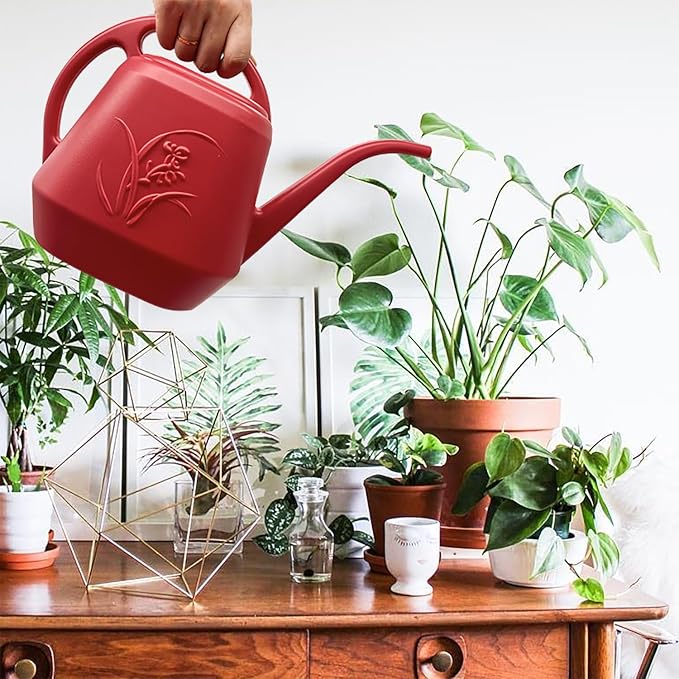 Watering Can - Wine Red - 1/2 Gallon