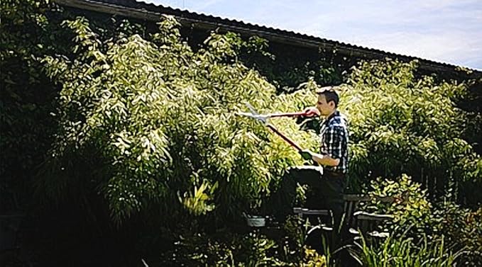 Berger vine leave shear 4440 with self-sharpening blades, hedge shear with damper, length 80 cm