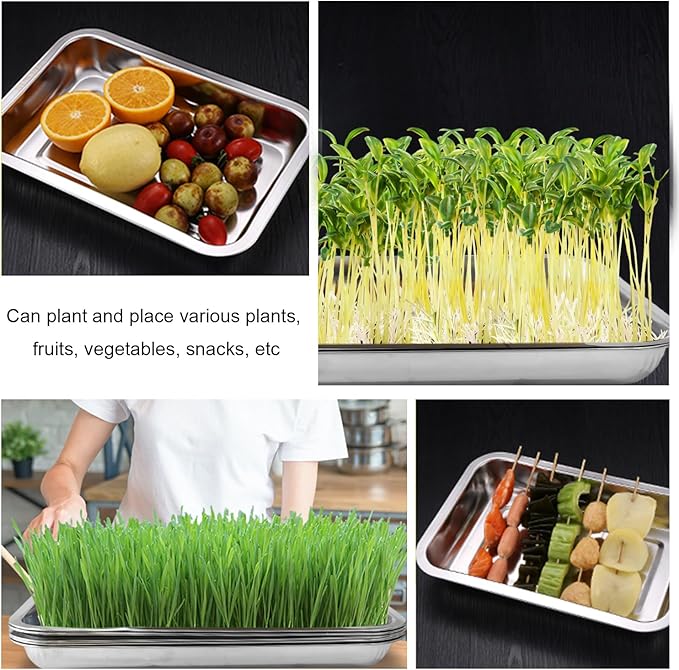 10 Pack Stainless Metal Trays, Stainless Steel Seed Starter Carry Tray for Nursery Seedling Pots Water Collection Transplantation (10.63 inch×14.17 inch, 1.18" Height)