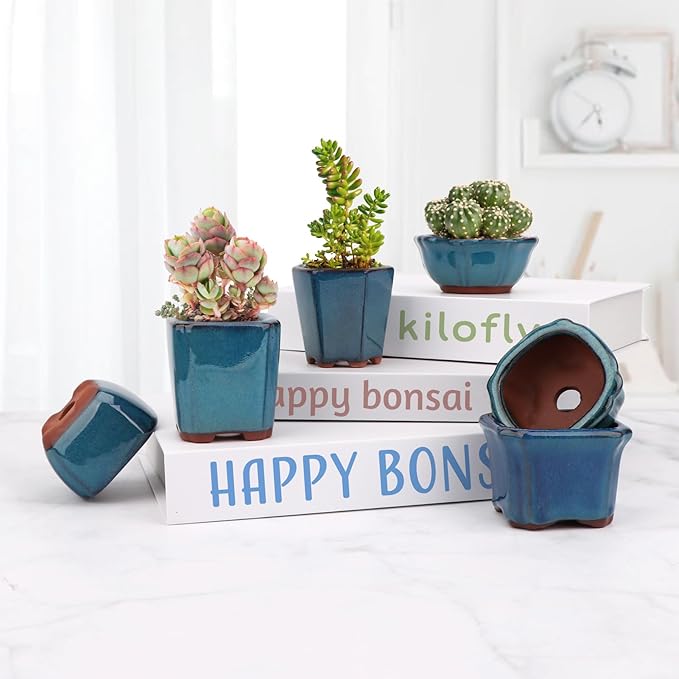 Bonsai Planter Succulent 6 pc Mini Glazed Pots Value Set + 6 Soft Mesh Drainage Screens