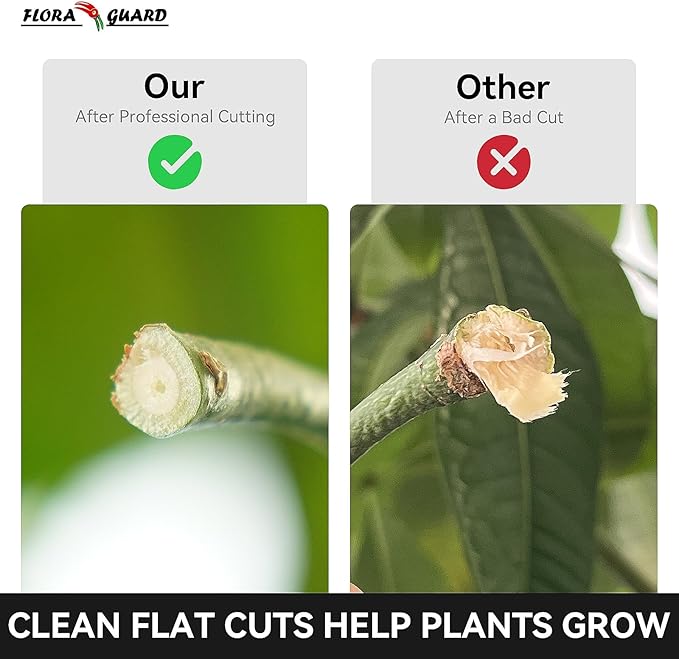 Flora Guard Garden Shears 8.5" Bypass Pruning Shears, Professional Ultra Sharp Sk5 Steel Garden Clippers, Heavy Duty Plant Cutting Scissors Tools Supplies, Hedge Branch Trimmer, Super Durable