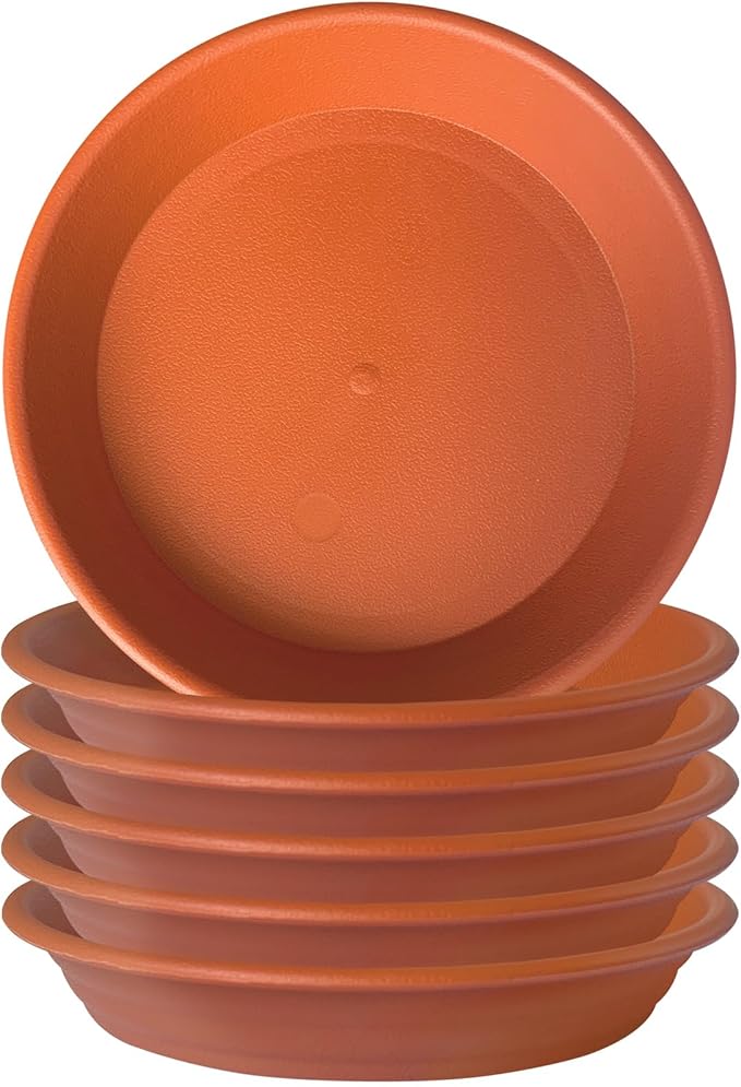 5.8 inch (4.5" at Base) Plastic Plant Saucer Pack of 6, Small Plant Saucers for Indoors, Thick Heavy Durable Plant Pots Saucers Plant Drip Trays for Pots Planter Saucers for Outdoors