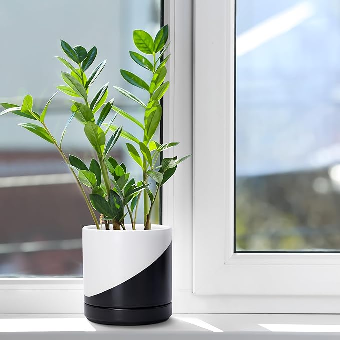 D'vine Dev 6.5 Inch Ceramic Planter Pot with Drainage Hole and Saucer, Indoor Cylinder Round Planter Pot, Oblique Monochrome Black and White, 94-O-C-K